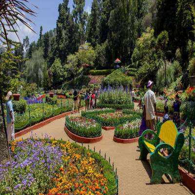 International Flower Festival Place to visit